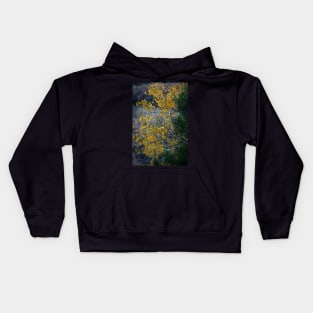 Texas Fall Kids Hoodie